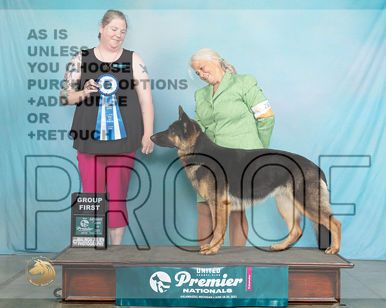 GSD#267SG1Heidi1678_Premier21