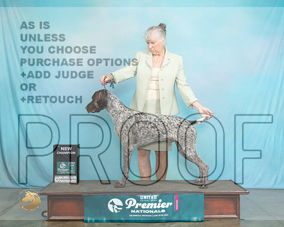 GSP#234SNCh1474_Premier21