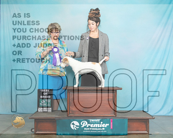 PRT#134SBB1778_Premier21