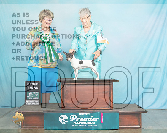 TFT#?SJLand1767_Premier21
