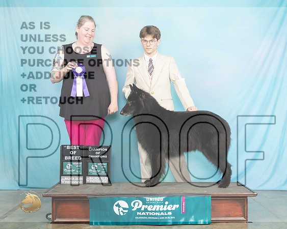 BelS#1049SBBScheff1534_Premier21