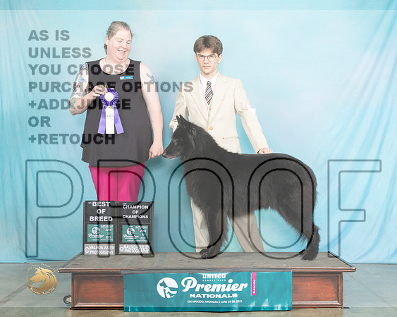 BelS#1049SBBScheff1537_Premier21