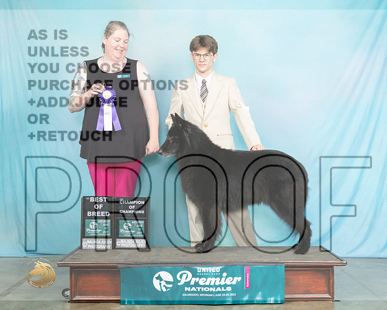 BelS#1049SBBScheff1539_Premier21