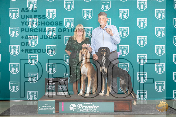 Saluki #879 880 Thur T10BOB AOE Judge Deborah Allen__JP_0810_Premier_2024_HR3