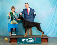 Dobe#808STDG3JLand