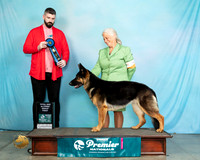 GSD#267STDG1Kev