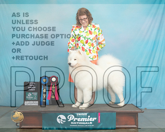 Sam#529STDG1JLand0054_Premier21