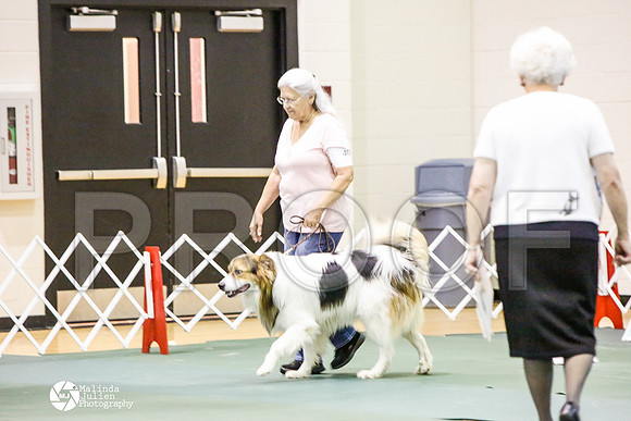 _JJ_3385-BsrCtyJun2014-HR3