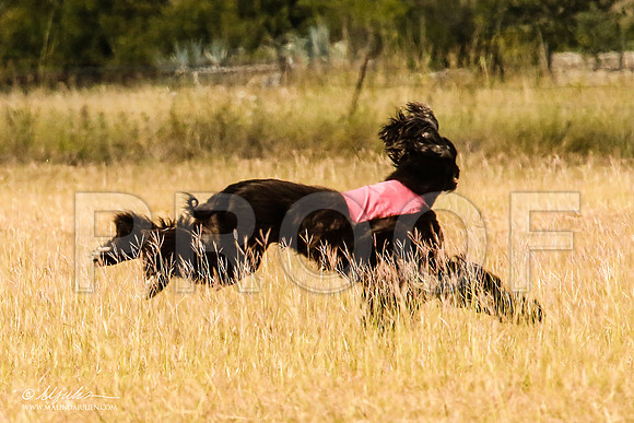 _MJ_5483-AfgBeltonOct2014-HR3