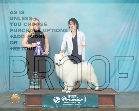 AE#431TDoty0204_Premier21