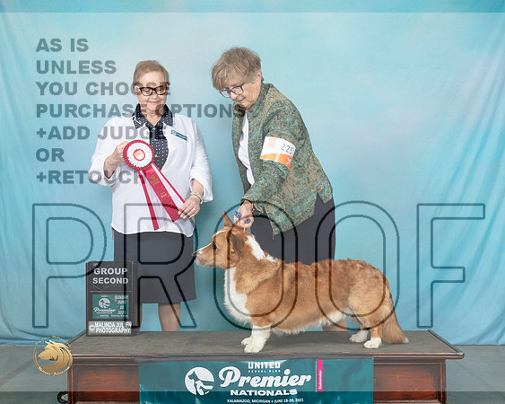 Corg#225SnG2BLand0511_Premier21