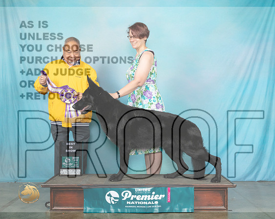 GSDSStan0311_Premier21