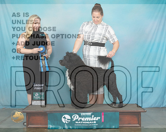 PWD#699SnG1TDoty0570_Premier21