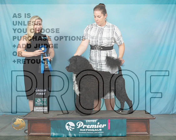 PWD#699SnG1TDoty0571_Premier21