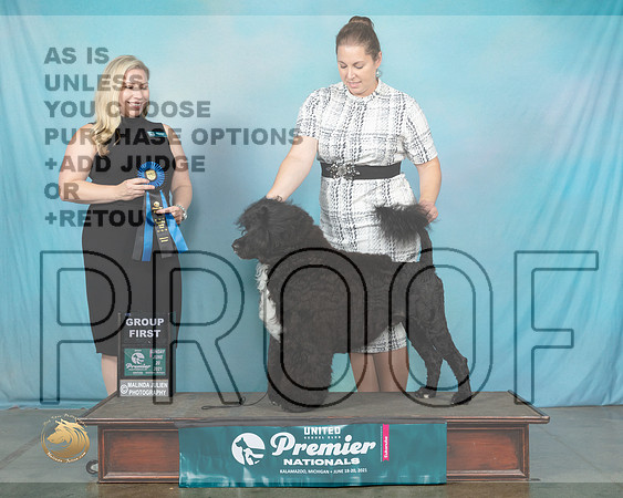 PWD#699SnG1TDoty0572_Premier21