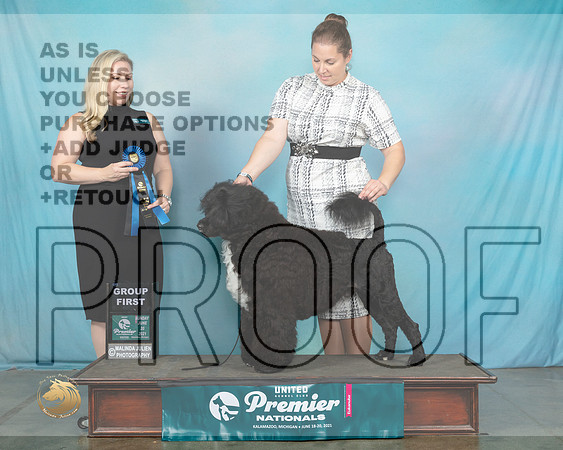 PWD#699SnG1TDoty0573_Premier21