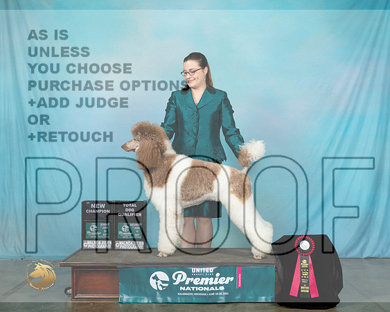 Pood#148SNCh0285_Premier21