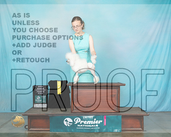 PoodT#228SJr4Kev0089_Premier21
