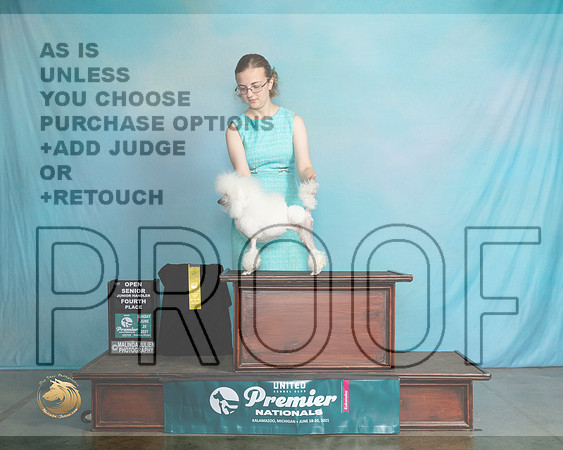 PoodT#228SJr4Kev0090_Premier21