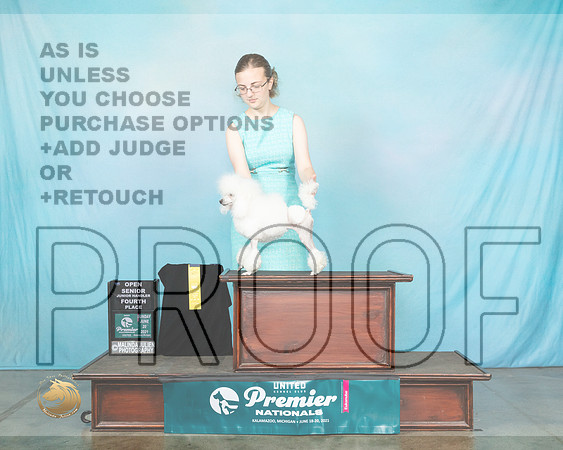 PoodT#228SJr4Kev0091_Premier21