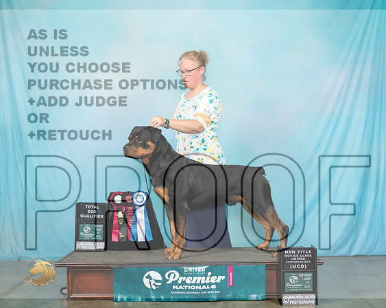 Rott#992TD0335_Premier21