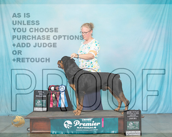 Rott#992TD0334_Premier21