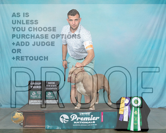 AmBull#1056Sn0661_Premier21