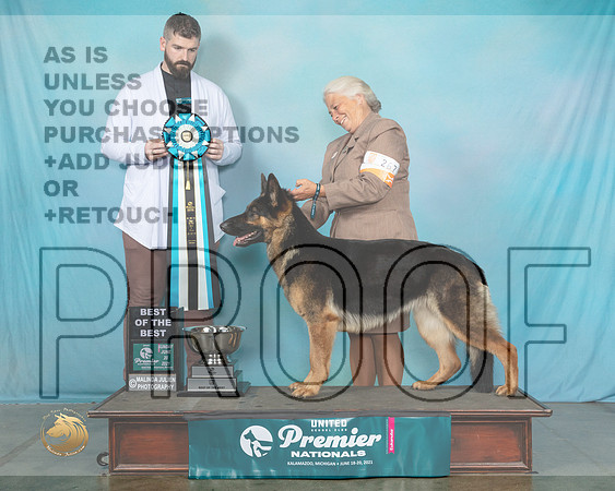 GSD#267SnBBestKev0753_Premier21