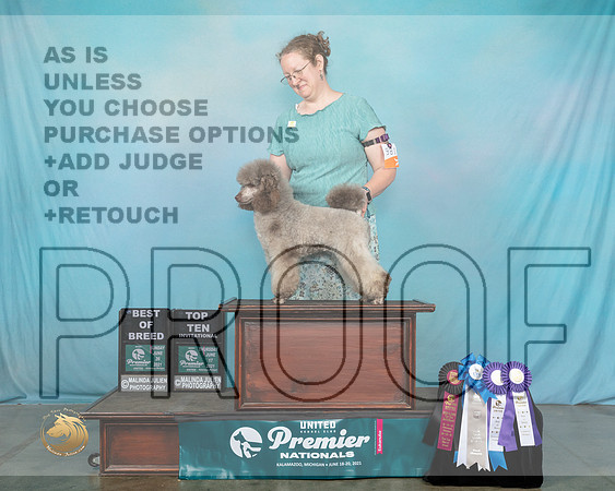 Pood#981SBB0666_Premier21