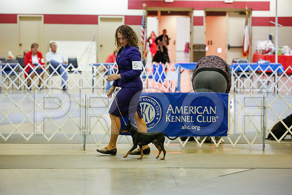 _JJ_0450-AmarilloSept2014-HR3