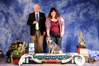 Australian Cattle Dog #R25 Sherri Swanton Vinson