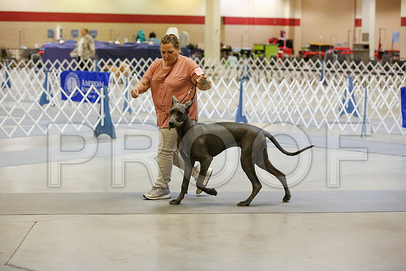 _JN_8777-AmarilloSept2014-HR3
