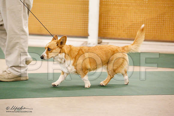 _JN_0075-NrmnNov2014-HR3