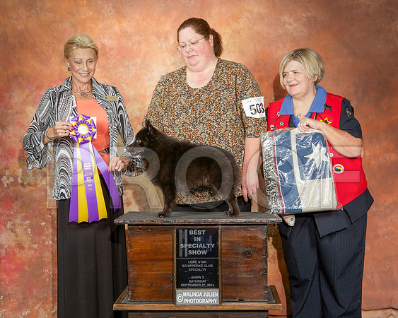 _ST_2516-CarlrolltonSept2014-HR3