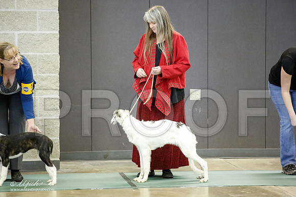 _JN_3334-BeltonJan2015-HR3