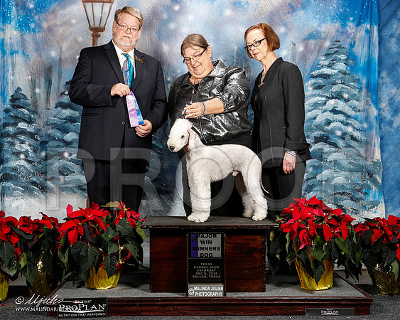 _ST_8505-2-DallasDec2014-HR3