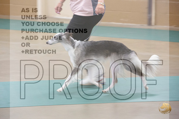 Silken WIndhound # Ringside Sat_JJL_3855_LongviewTX_2024_HR3