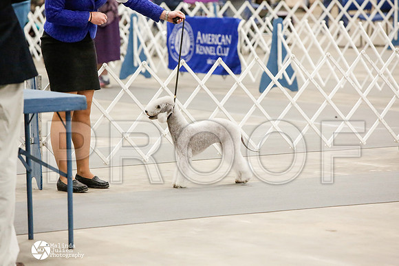 _CK_7887-AblnMay2014-web