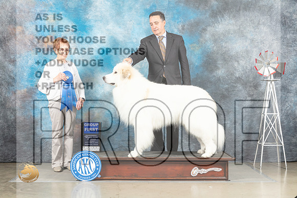 Great Pyrnees #5 Thur G1 Judge Sharon Derrick_MJ_3709_Amarillo_2022_HR3
