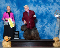 Pulik #5 Thrs G3 Sweeney Michael David Brock Judge Mrs Patricia A Hess