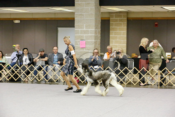_JJ_8848-AfgBeltonOct2014-HR3