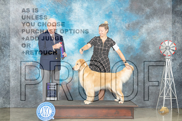 Golden Retriever #10 Thur WB Judge Dr Steve Keating-_JP_3309e-Amarillo2023_HR3