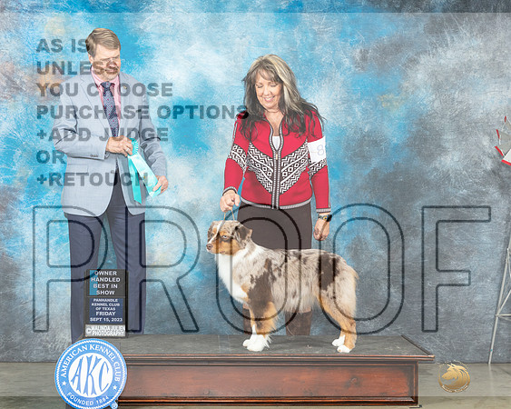 Miniature American Shepherd #8 Fri OHBIS Judge Randy Garren-_JP_4134e_Amarillo2023-HR3