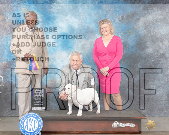 Bulldog #26 Sat BOBWBM Judge Eugene Blake-_JP_1176e-Lubbock2023_HR3