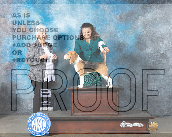 Beagle 15%22 #5 Mon G4 Judge Gloria Kerr-_JP_2913_Amarillo2023-HR3