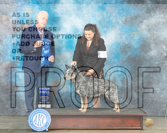 Australian Cattle Dog #5 Fri G1 Judge Dr Steve Keating-_JP_4110_Amarillo2023-HR3