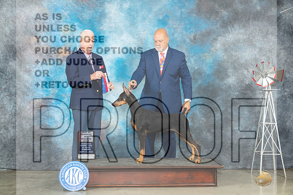 Doberman Pinscher #8 Sun WBBOS Judge Dr Steve Keating-_JP_4772e_Amarillo2023-HR3