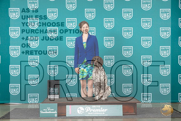 German Shorthaired Pointer #215 Thurs Top10RM 5th Judge Terri Rein__JP_2345_Premier_2024_HR3