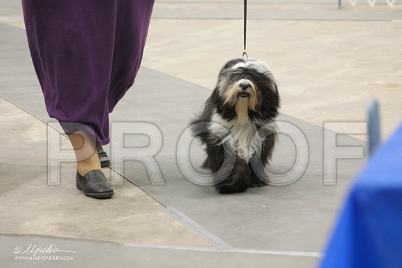 IMG_9537-Abilene2011-HR3