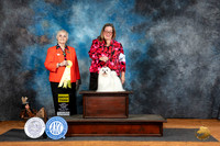 Maltese #5 Fri G3 Judge Suzanne Dillin